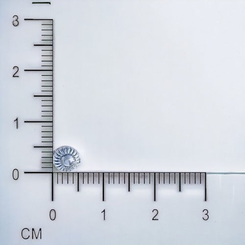 Ethnic Motif Small Stud Earring For Women & Girls