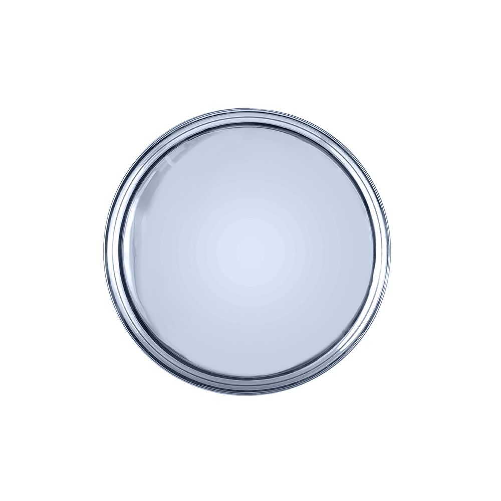 Silver Thali